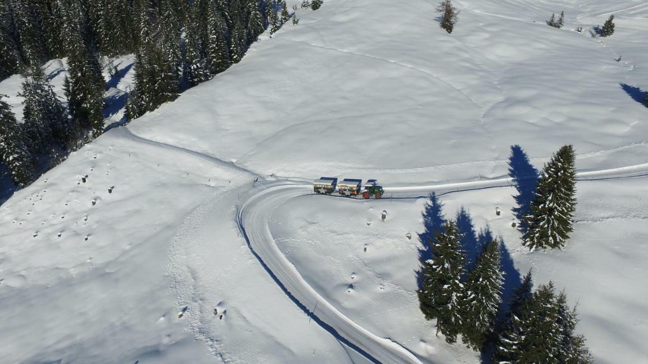 Ski In-Ski Out - Gaestehaeuser Saalbach-Hinterglemm - Wallegghof Christianhof מראה חיצוני תמונה